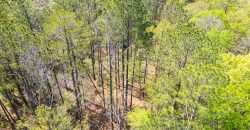 Wooded 3+/- Acre Homesite
