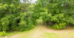 Twiggs County Commercial/Industrial Tract