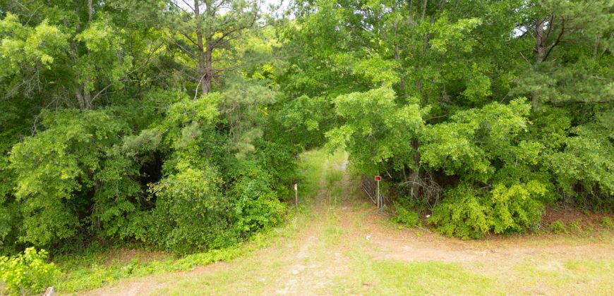 Twiggs County Commercial/Industrial Tract