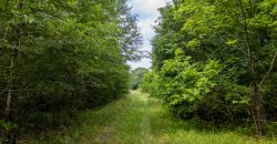 Twiggs County Commercial/Industrial Tract
