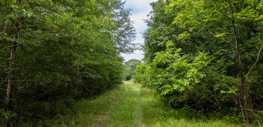 Twiggs County Commercial/Industrial Tract