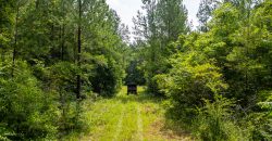 Rockhouse Farm