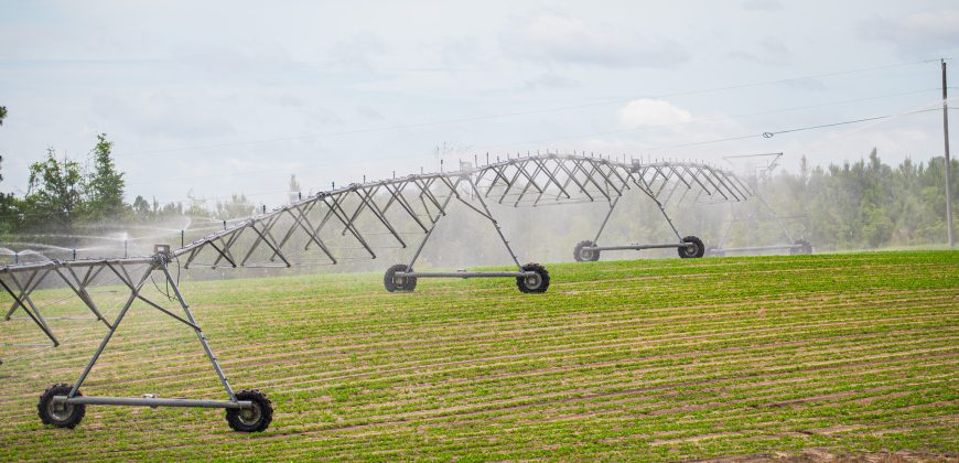 Dodge County Irrigated Farm