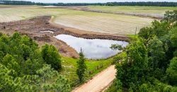 Dodge County Irrigated Farm