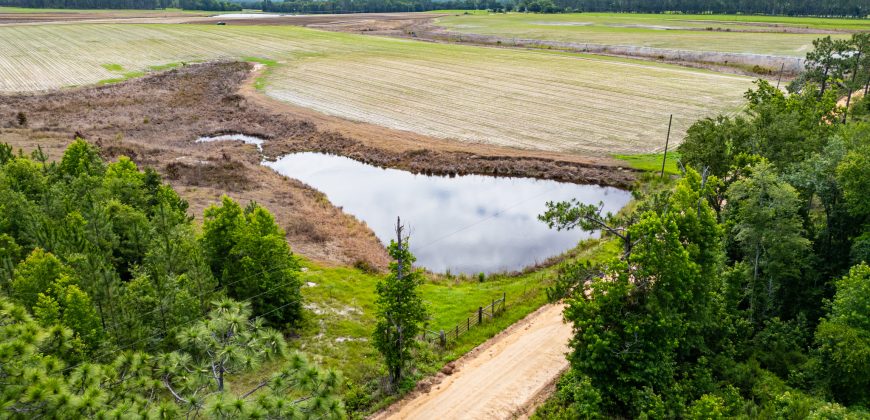 Dodge County Irrigated Farm