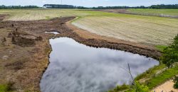 Dodge County Irrigated Farm