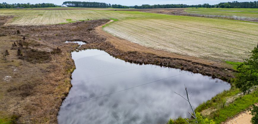 Dodge County Irrigated Farm