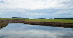Dodge County Irrigated Farm