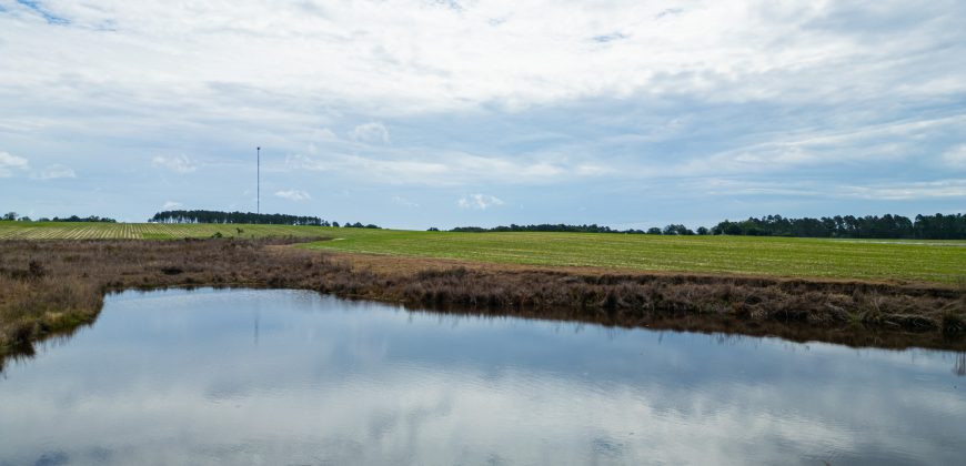 Dodge County Irrigated Farm