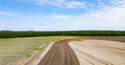 Dodge County Irrigated Farm
