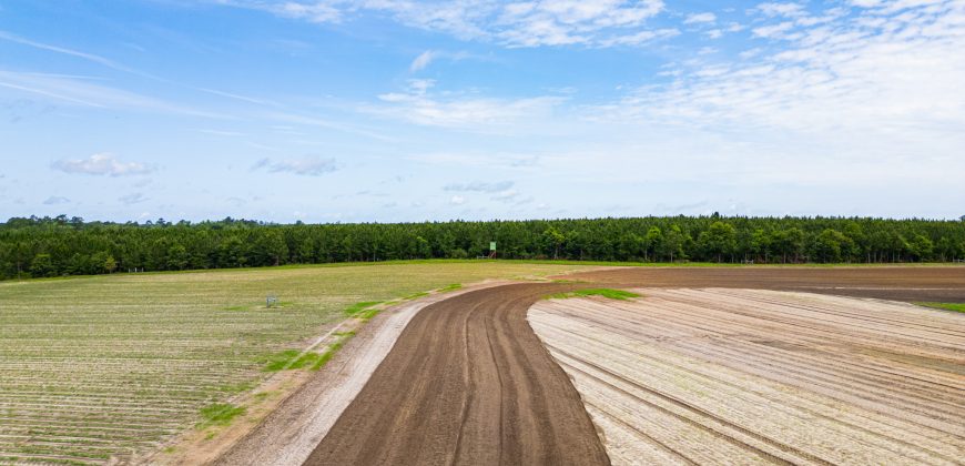 Dodge County Irrigated Farm