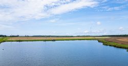 Dodge County Irrigated Farm