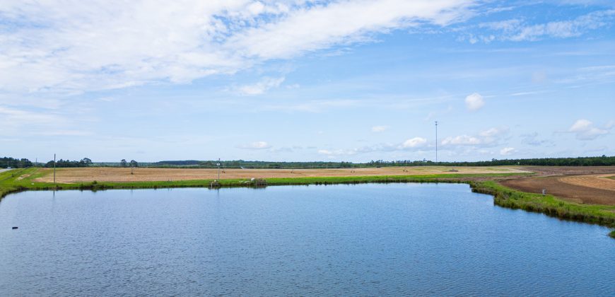Dodge County Irrigated Farm