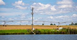 Dodge County Irrigated Farm