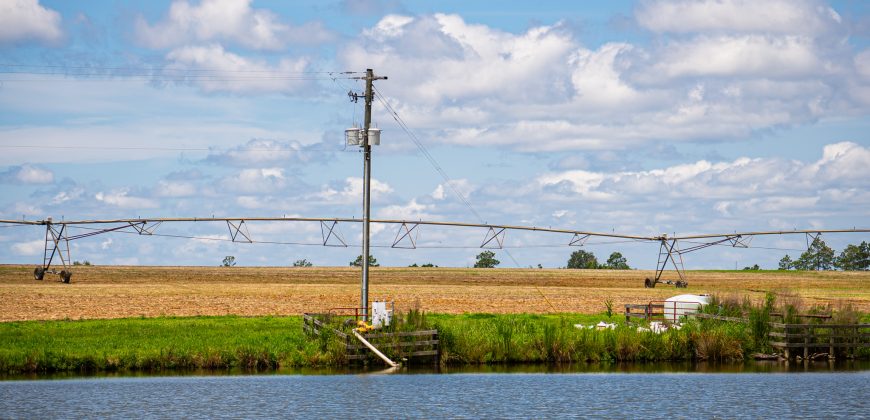 Dodge County Irrigated Farm