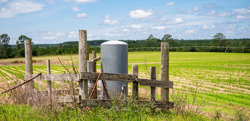 Dodge County Irrigated Farm