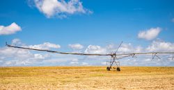 Dodge County Irrigated Farm
