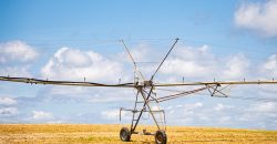 Dodge County Irrigated Farm