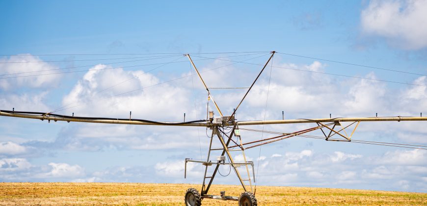 Dodge County Irrigated Farm