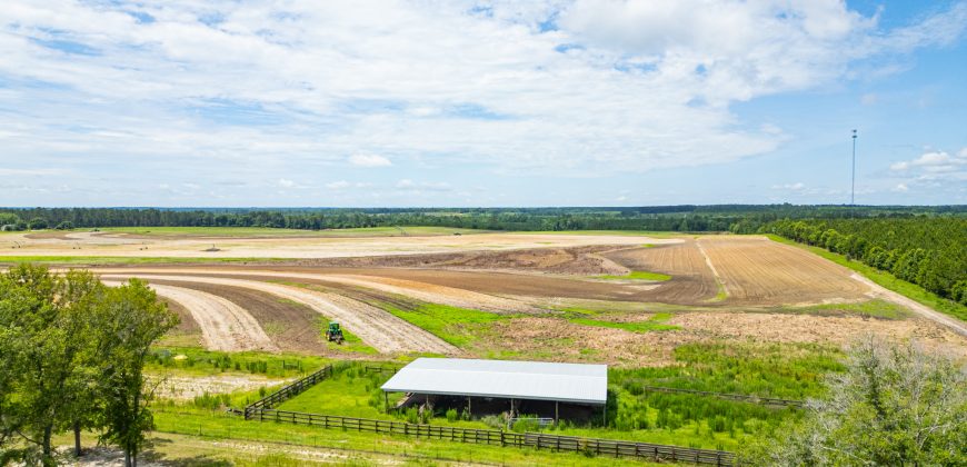 Dodge County Irrigated Farm