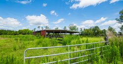 Dodge County Irrigated Farm