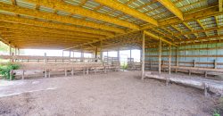 Dodge County Irrigated Farm