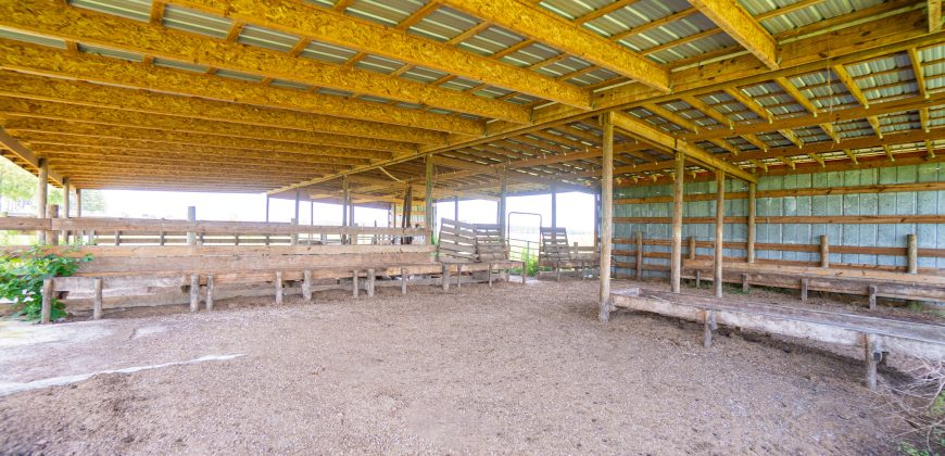 Dodge County Irrigated Farm