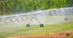 Dodge County Irrigated Farm