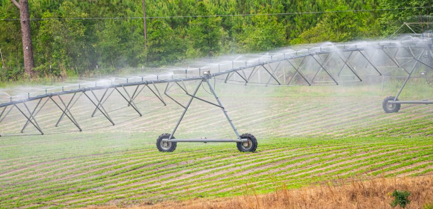 Dodge County Irrigated Farm