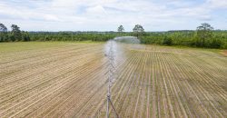 Dodge County Irrigated Farm
