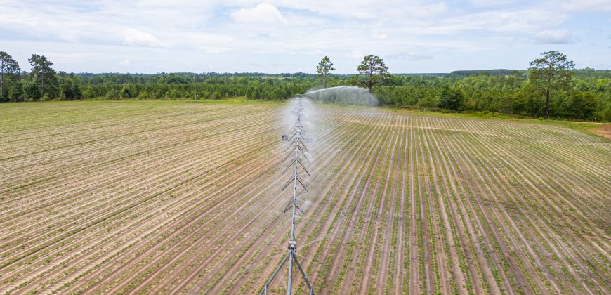 Dodge County Irrigated Farm