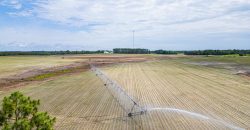 Dodge County Irrigated Farm