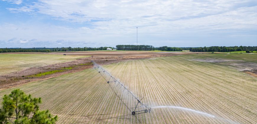 Dodge County Irrigated Farm