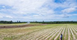 Dodge County Irrigated Farm