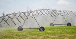 Dodge County Irrigated Farm