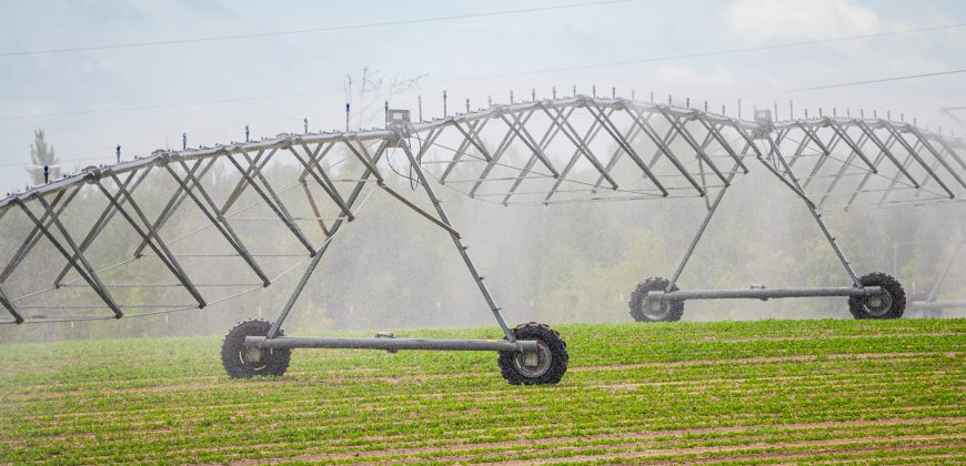 Dodge County Irrigated Farm