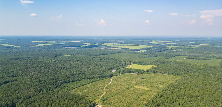 Young Farm
