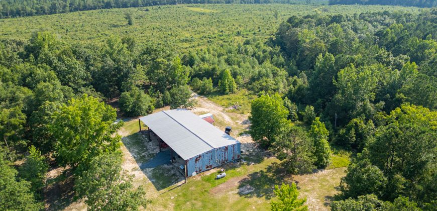 Young Farm