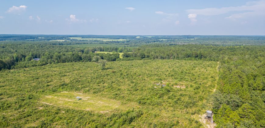 Young Farm