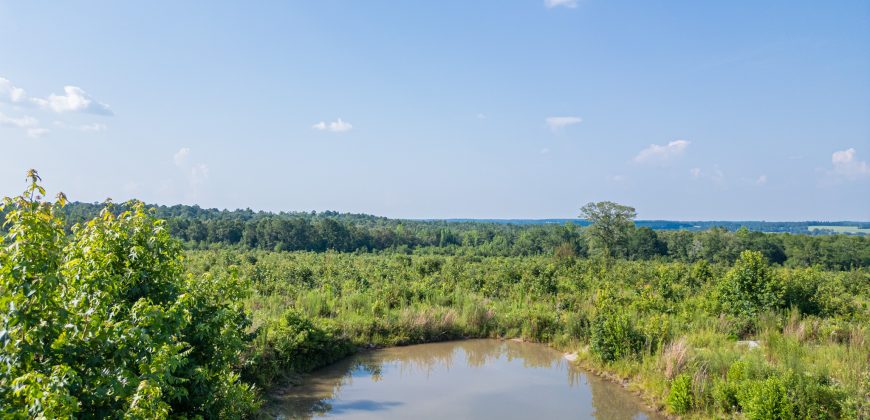 Young Farm