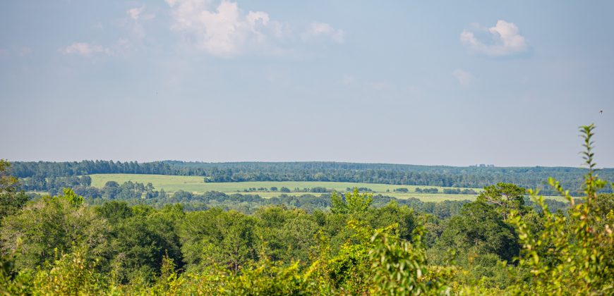 Young Farm