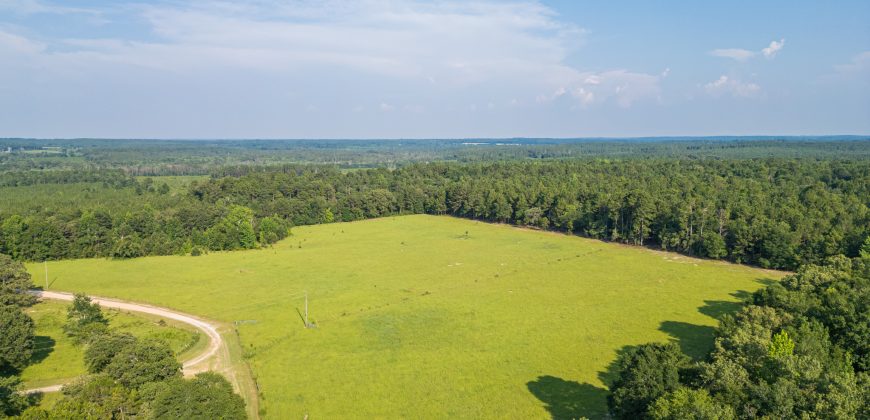 Young Farm