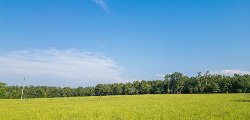 Young Farm