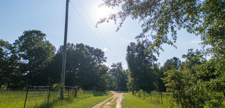 Young Farm