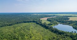 Macon County Hunting tract