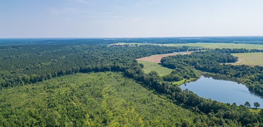 Macon County Hunting tract