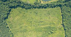 Macon County Hunting tract