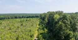Macon County Hunting tract