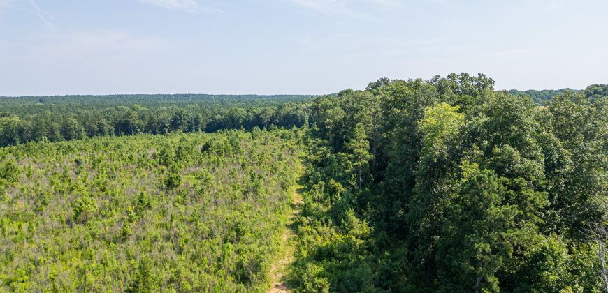 Macon County Hunting tract