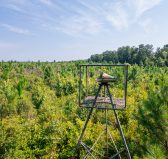 Macon County Hunting tract